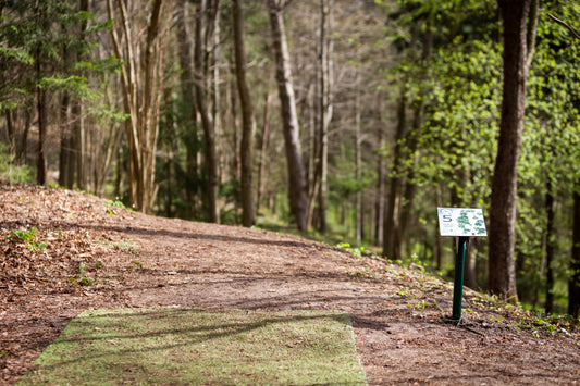Pušyno HCP lyga 2026 su chillidiscgolf.lt