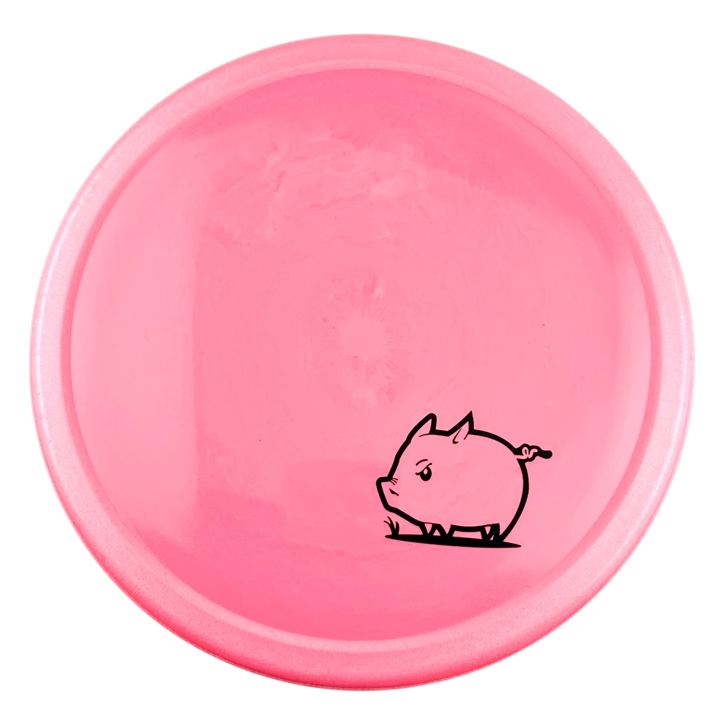 Innova Star Pig